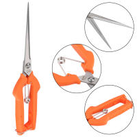 Tijeras De Jardín 250mm Para Podar Plantas Y Flores Herramienta De Corta Ramas Prunería De Jardinería Y Floristería - details 3
