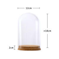 Jarrón De Vidrio Transparente Con Cubierta De Cúpula Y Base De Madera Para Suculentas Terrarium Decoración De Boda Y Navidad Moderno - details 7