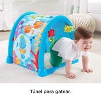 Fisher Price Gimnasio 2 en 1 Musical Bajo el Mar Mattel DRD92 - details 4