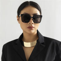 Collar Gargantúa De Metal Exagerado Para Mujer Cadena Ancha Y Suave En Color Oro Estilo Punk Bijoux Steampunk Joyería De Moda Para Fiesta - details 0