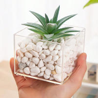 Jarrón De Plástico Transparente Y Minimalista Moderno En Forma De Cuadrado Para Decoración Del Hogar Y Estudio Contenedor De Plantas Hidroponicas - details 6