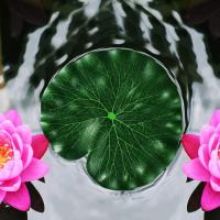 6 Unids Lirio Artificial Almohadillas Hojas de Espuma Flotante Loto Hojas Realistas Flotantes de Loto Dejar PARA EL Hogar Jardín Estanques Piscina Paisaje Decoración - details 4