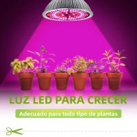 Luz De Cultivo LED De Espectro Completo 150W E27/E14 Para Plantas De Interior Suculentas Verduras Frutas Iluminación De Invernadero 220V - details 0