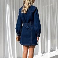 Vestido De Denim Para Mujer Con Parche En La Cabeza Y Doble Bolsillo Cintura Alta Estilo Casual Comunitario Con Detales De Encaje Y Cardigan Monofásico - details 6