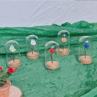 Cubierta Protectora De Vidrio Para Miniatura De Rosa 1PC Escala Modelo Miniatura Ornamentos Simulación Decoración Para El Hogar Y Artesanías - details 0