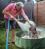 Petic - Piscina plegable para mascotas, bañera para perros, piscina plegable para interiores y exteriores con orificios de instalación y drenaje rápidos - details 4