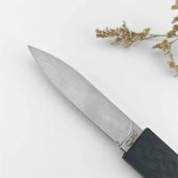 Cuchillo De Hoja Fija Multiusos 440C Con Mango De Fibra De Níquel Acero Inoxidable Para Camping Y Supervivencia EDC Táctico - details 3