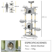 PawHut Árbol Rascador para Gatos Altura 200 cm Torre para Gatos con 2 Cuevas 2 Hamacas Cama Múltiples Plataformas Postes de Sisal y Bolas de Juguete 60x60x200 cm Gris - details 2