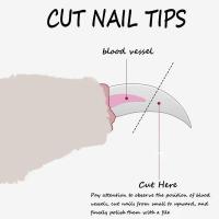 Tijeras De Uñas Para Mascotas Perro Gato Cuidado De Las Uñas Aseo Y Peluquería Para Mascotas Herramienta De Peluquería Para Gatos - details 2