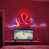 Cinta LED Neón RGB De 5M Con Control Remoto USB 5V Luz Flexible Cambio De Color Para Decoración Interior De Dormitorio - details 12