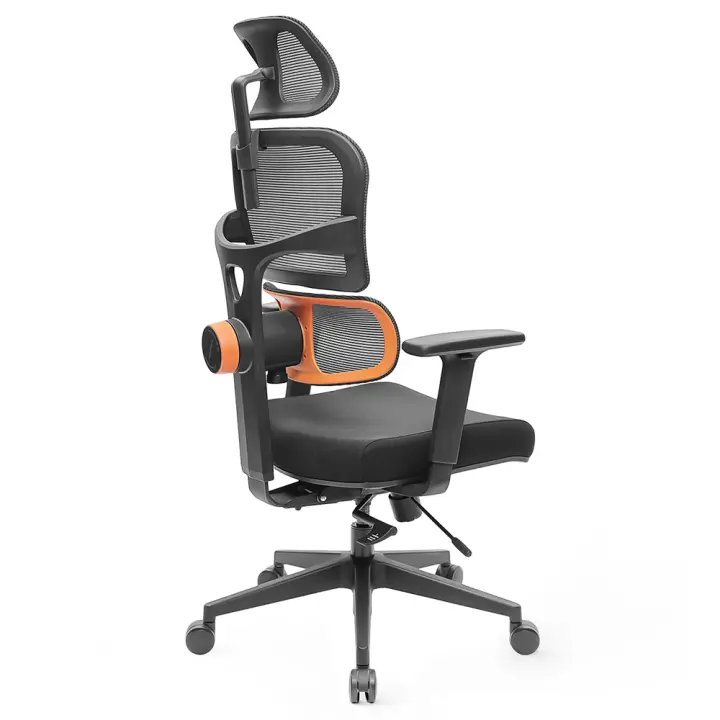 Silla ergonómica NEWTRAL NT001 con soporte lumbar adaptable, respaldo ajustable en 3 ángulos de inclinación, reposabrazos, reposacabezas y base de nailon con 5 posiciones de bloqueo - Versión estándar - 1