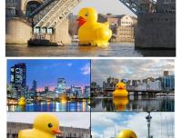 Peluche De Pato Amarillo Grande Kawaii Para Niños Y Niñas Juguetes De Peluche Suaves De Dibujos Animados Regalo De Cumpleaños - details 10