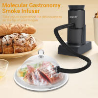 BORUiT SK305 Infusor De Humo Portátil Para Cocina Molecular Generador De Humo Frío Para Carne BBQ Y Cocktails Herramientas De Cocina - details 0