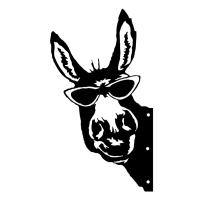 Adorno De Jardín En Forma De Burro Silueta De Hierro Para Decoración Rural Arte De Pared Para Fiestas En Jardín Y Decoración Del Hogar - details 4