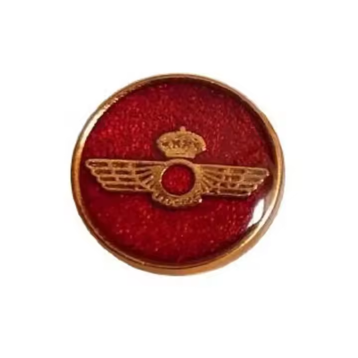 Pin Ejército del Aire España – Permanece en su Lugar - 1