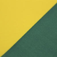 Bandera De La República De Lituania 90x150 CM Para Decoración Material Poliéster Estilo Colgante Fabricada En Super-Tex - details 3