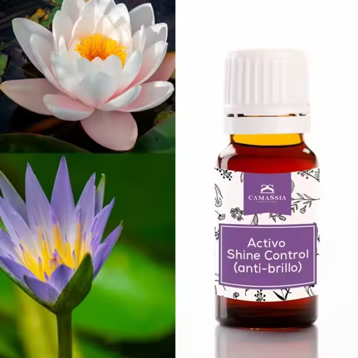 Camassia Activo Shine Control Anti-brillo | Equilibrio Piel Grasa | 100% Natural COSMOS - 1