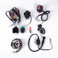8pcs Conjunto Completo De Enredaderas Eléctricas CDI STATOR 6 Bobina Para Motocicleta ATV Buggy Go Kart Para Quad Bikes 50CC-125CC - details 1