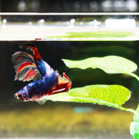 Planta Artificial Para Acuario Hojas Decorativas Para Descanso Y Reproducción De Betta Decoración De Juguete Para Peces Tamaño Único - details 1