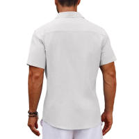 Camiseta De Algodón Para Hombre Manga Corta Verano Casual Camisetas De Playa Regular Con Bolsillo Botón-down Basic Streetwear - details 3