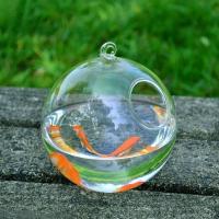Acuario De Vidrio Transparente Con Soporte Para Decoración De Hogar Forma Redonda/Cuadrada Vaso De Peces Con Soporte De Colgante - details 5
