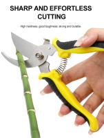 Tijeras De Poda Profesional Para Jardín Podadoras De Broca Afiladas Cortauñas Herramientas Para Arboles Tijeras De Mano - details 1