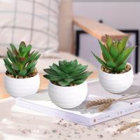 XIYA FLOWER Suculentas De Aloe Vera Artificiales En Estilo Moderno Con Maceta De Plástico Blanco Para Decoración Del Hogar Material PE - details 9