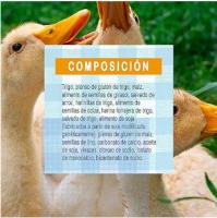 VERSELE-LAGA Comida para Patos - Pellet Duck 3 - Alimentación Completa para Gansos, cisnes y Patos - details 2