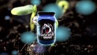 Great White Premium Micorrizas 113,4 g – Crecimiento Óptimo de Plantas - details 2