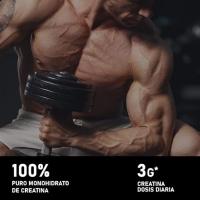 King Nutrition Creatina Monohidratada 100% Pura  200gr  66 Tomas  Creatina en polvo, Micronizada 200Mesh Sin Sabor, No-GMO  Vegano  Sin lactosa  Incluye dosificador - details 1