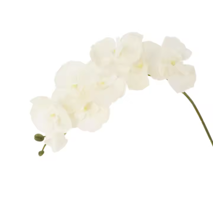 1pc Arco De Mariposa De Seda Con 9 Cabezas Orquídea Falsa 69/100CM Para Decoración De Hogar Y Bodas Flores Artificiales Para Decoración Interior - 1