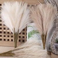 1/5PCS Flor De Pampas Artificial En Estilo INS Alta Calidad Plantas Falsas Para Decoración Bohemia De Hogar Y Jardín Para Dormitorio Y Balcones - details 7