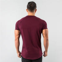 Camiseta De Verano Para Hombre Camiseta Deportiva Fitness Algodón Transpirable Secado Rápido Estilo Delgado Casual Running - details 2