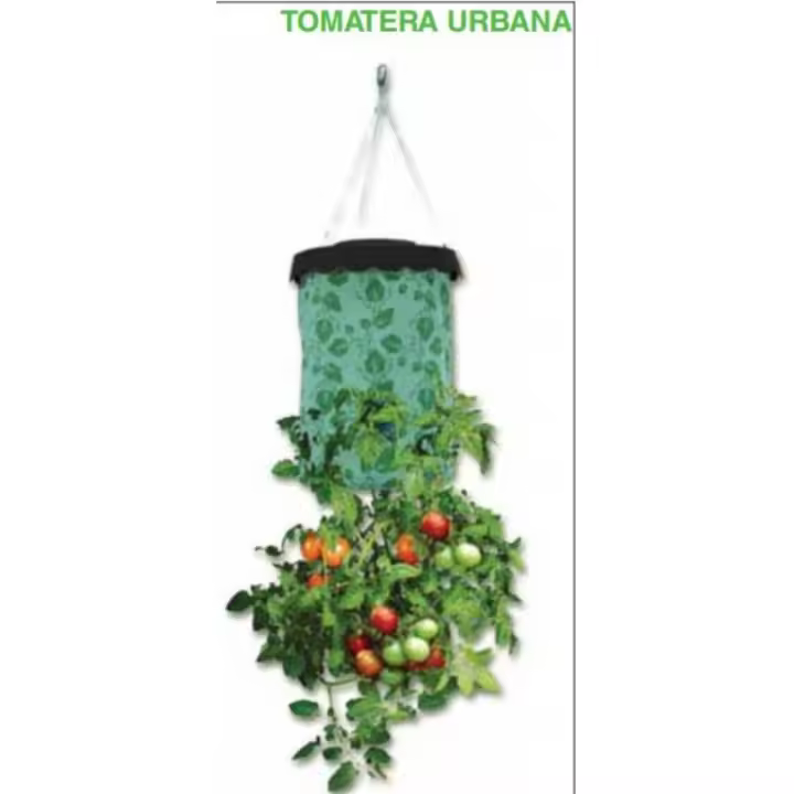 Tomatera Urbana 40X22Cm. Maiol - 1