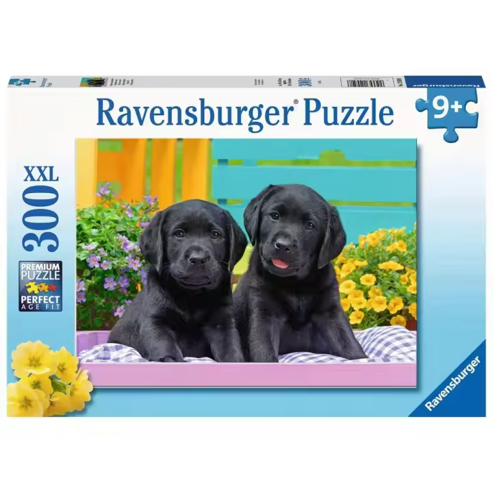 Ravensburger Puzzle Rompecabezas 300 Piezas XXL - Perritos Cachorros - 1