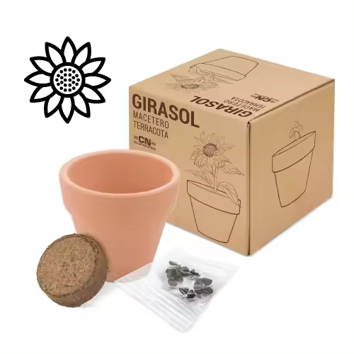Lote de 20 Macetas terracota semillas GIRASOL - Regalos, detalles y recuerdos bodas, comuniones cumpleaños navidades regalos empresa ecológicos gourmet - 1