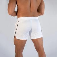 Nuevos Shorts De Fitness Para Hombre 2024 Malla Transpirable Y Secado Rápido Pantalones De Playa Deporte Casual Estilo Fitness Para Verano - details 2