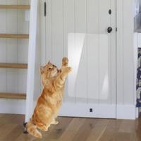 Cinta Antirascas Para Gatos Transparente 15x100cm Protección De Muebles Guardia De Sofá Prevenção De Rasguños Adhesivo Para Muebles - details 5