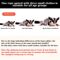 Correa Para Pequeños Mascotas 4Pcs Cuerda Antideslizante Para Hamster Ardilla Anti Mordedura Resistente Al Viento Correa Especial Antipérdida Para Sugar Glider - details 9