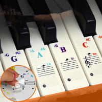 Pegatinas De Piano Transparentes Y Coloridas Adhesivas Removibles Para Principiantes Stickers De Notas Para Teclado De 49/61/76/88 Teclas - details 0