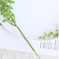 1PC Cadena De Perlas Artificial De Suculentas Colgantes Para Bodas Y Decoración De Hogar Para Sala De Estar Y Dormitorio - details 3