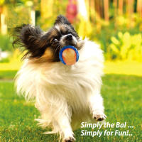Juguetes Para Perros Gigwi Bola Sonora De Goma Natural No Tóxica Juguete Chupable Para Pequeños Y Grandes Perros Juguete Elástico Divertido Para Jugar Al Aire Libre - details 9