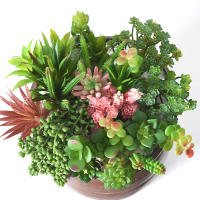 9/6PCS Plantas De Suculentas Artificiales Para Decoración De Hogar Cactus Miniatura Realista Texturizada Falsa Planta Para Exposición Y Regalo - details 16