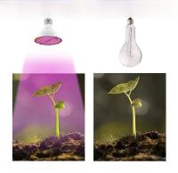 Bulbo De Luz De Crecimiento Para Plantas 25W E27 Espectro Completo LED Para Cultivo Indoor Lámpara De 220V Para Invernadero Y Macetas De Suculentas Y Frutas - details 7