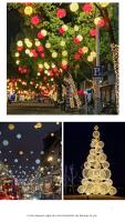 Lámpara Colgante De Rattan LED Para Navidad Y Ramadan Decoración De Fiesta Y Boda Al Aire Libre Cadena De Luces De Navidad - details 10