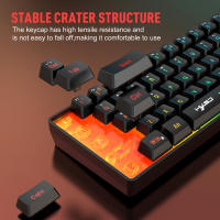 L500 Wired/Wireless Gaming Keyboard 61 Keys With Dynamic RGB Backlight For PC Laptop Gamer - details 3