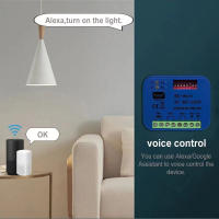 Controlador Inteligente De Puerta De Garage Universal RX Multi WIFI 2CH Receptor 433 868 MHz Tuya Frecuencia 300-900MHz - details 9