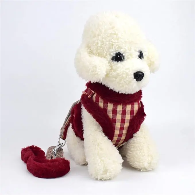 Verde - Correa para Perro de Invierno Cálido-Arnés Ajustable - Para Perro Pequeño y Mediano - 1