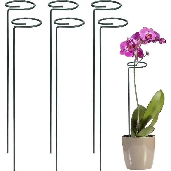 6 piezas Soporte de planta Anillo de metal Soporte de planta Soporte de jardín Anillo para plantas Flores Verduras 40cm - 1