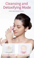 Equipo De Belleza Personal De Cuidado De La Piel Con Luz Y Pantalla Electrostímulo Calefacción EMS Corriente Micro Instrumental De Limpieza Facial Masajeador De Belleza - details 0